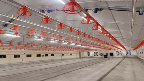 breizh brumisation installateur en équipements d'élevage