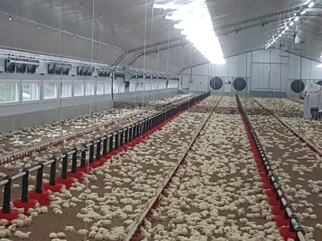 breizh brumisation installateur en équipements d'élevage