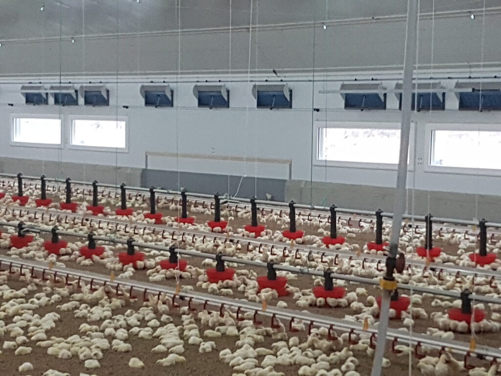 breizh brumisation installateur en équipements d'élevage